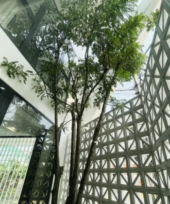 Căn Penthouse Lộng Lẫy